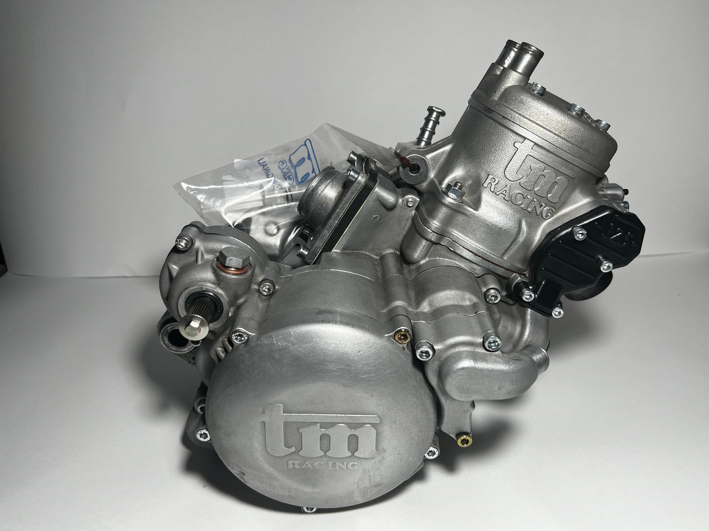 REVISIONE/ELABORAZIONE MOTORE 2 TEMPI
